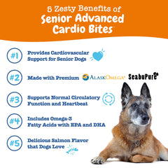 Zesty Paws seabuckthorn powder for cardiovascular support and antioxidant protection.