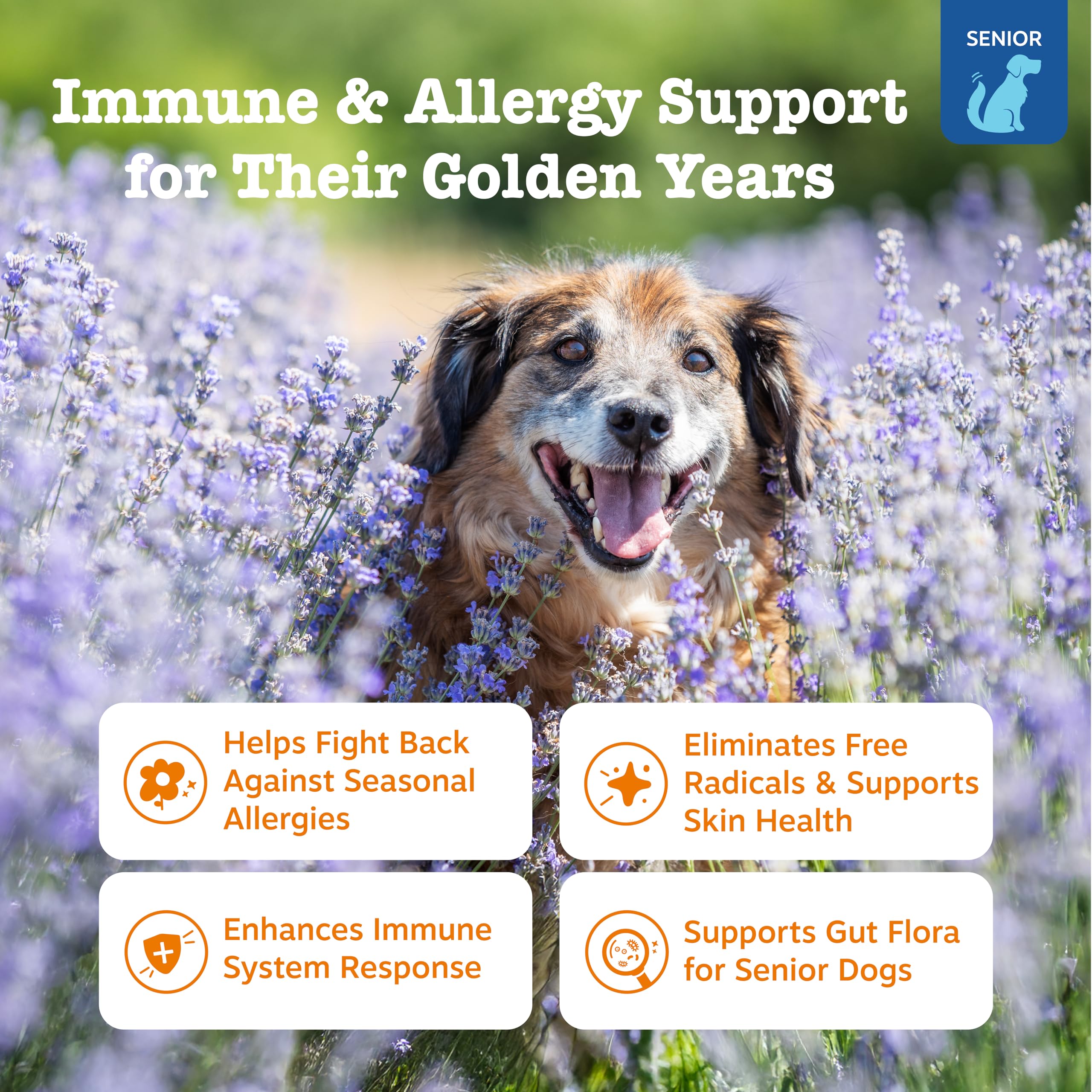 Close-up of Zesty Paws Senior Allergy Immune Bites chews highlighting salmon flavor.
