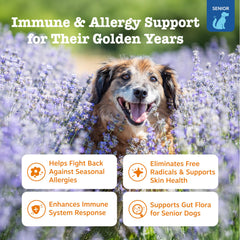Close-up of Zesty Paws Senior Allergy Immune Bites chews highlighting salmon flavor.
