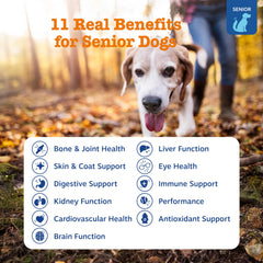 Zesty Paws Senior Dog Multivitamin treats close-up highlighting flavor and texture.