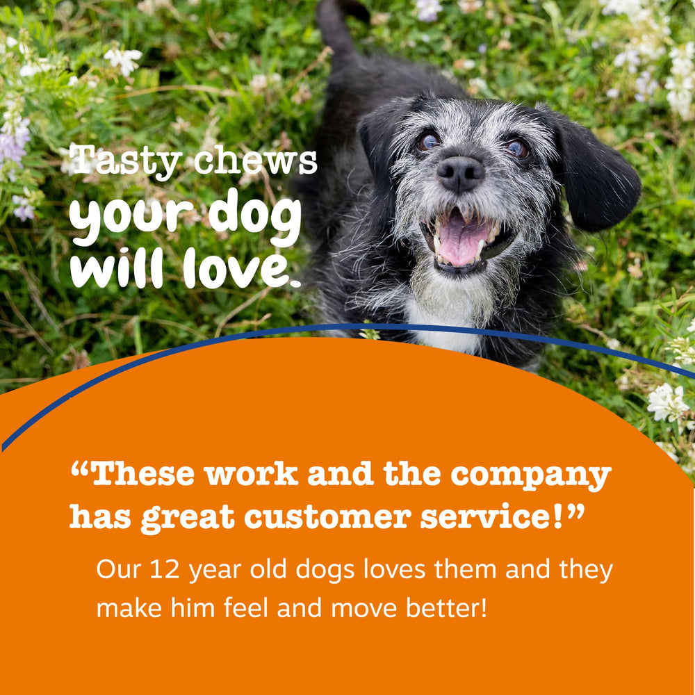 Zesty Paws digestive health close-up; cranberry and psyllium support gut balance.
