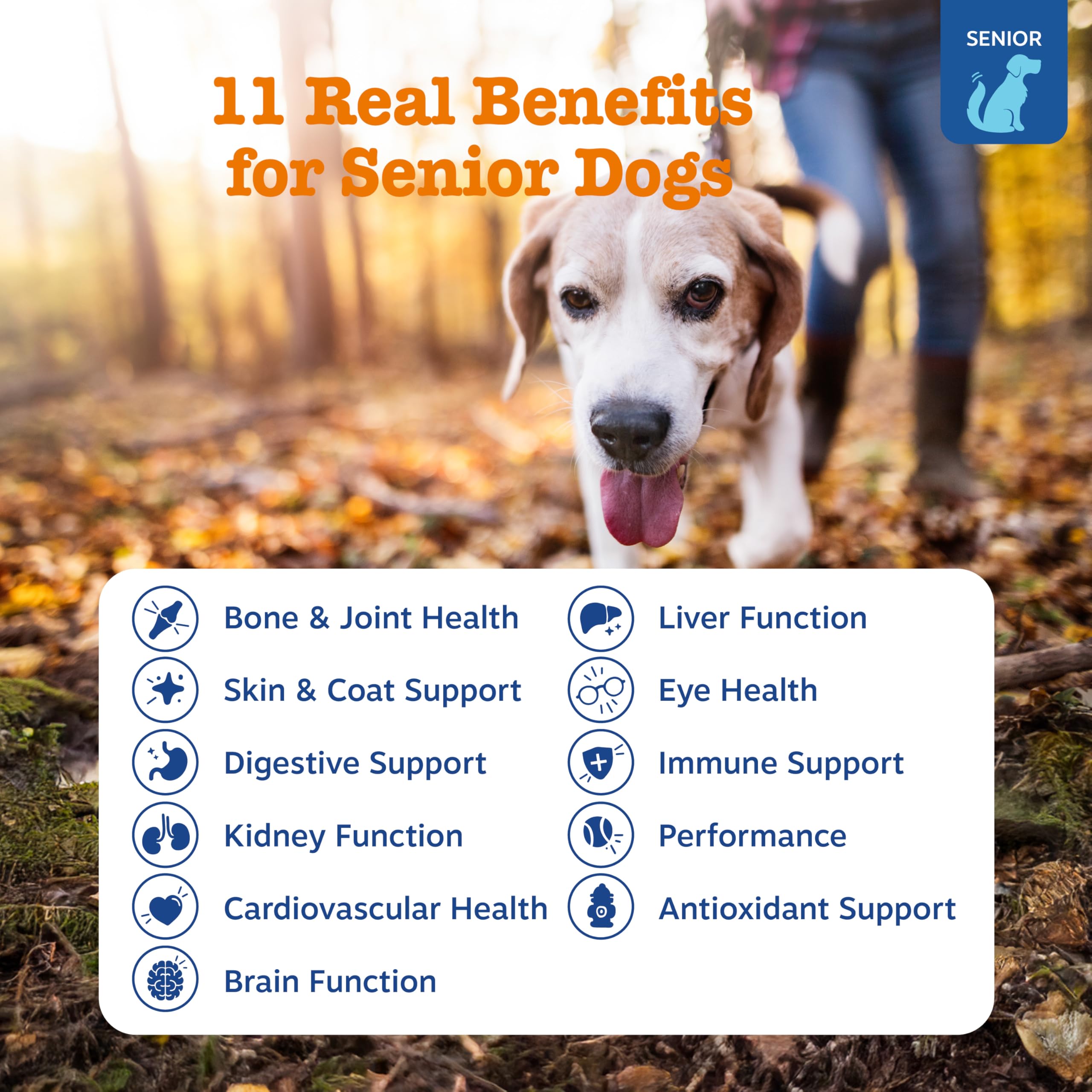 Zesty Paws product label showing ingredients and benefits