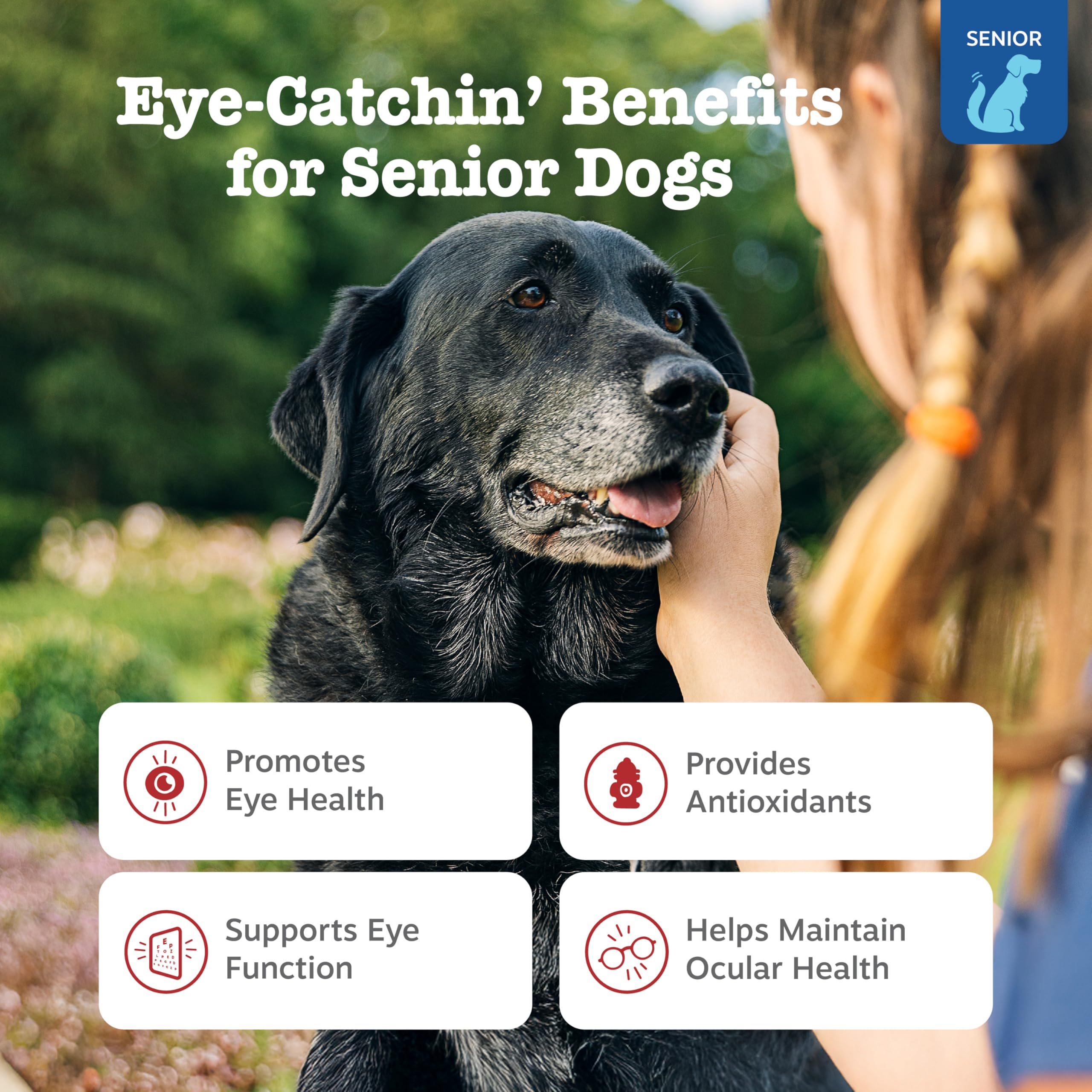 Close-up of Zesty Paws Senior Vision Bites chews for daily eye support