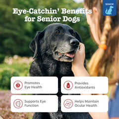 Close-up of Zesty Paws Senior Vision Bites chews for daily eye support