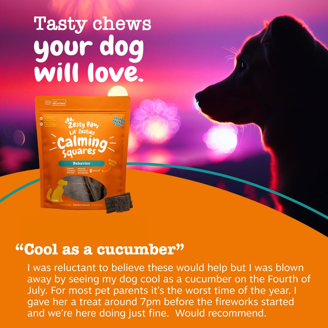 Dog with separation anxiety scene and calming chews from Zesty Paws.