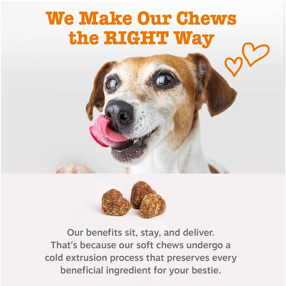 Zesty Paws soft chews for joint comfort during playtime