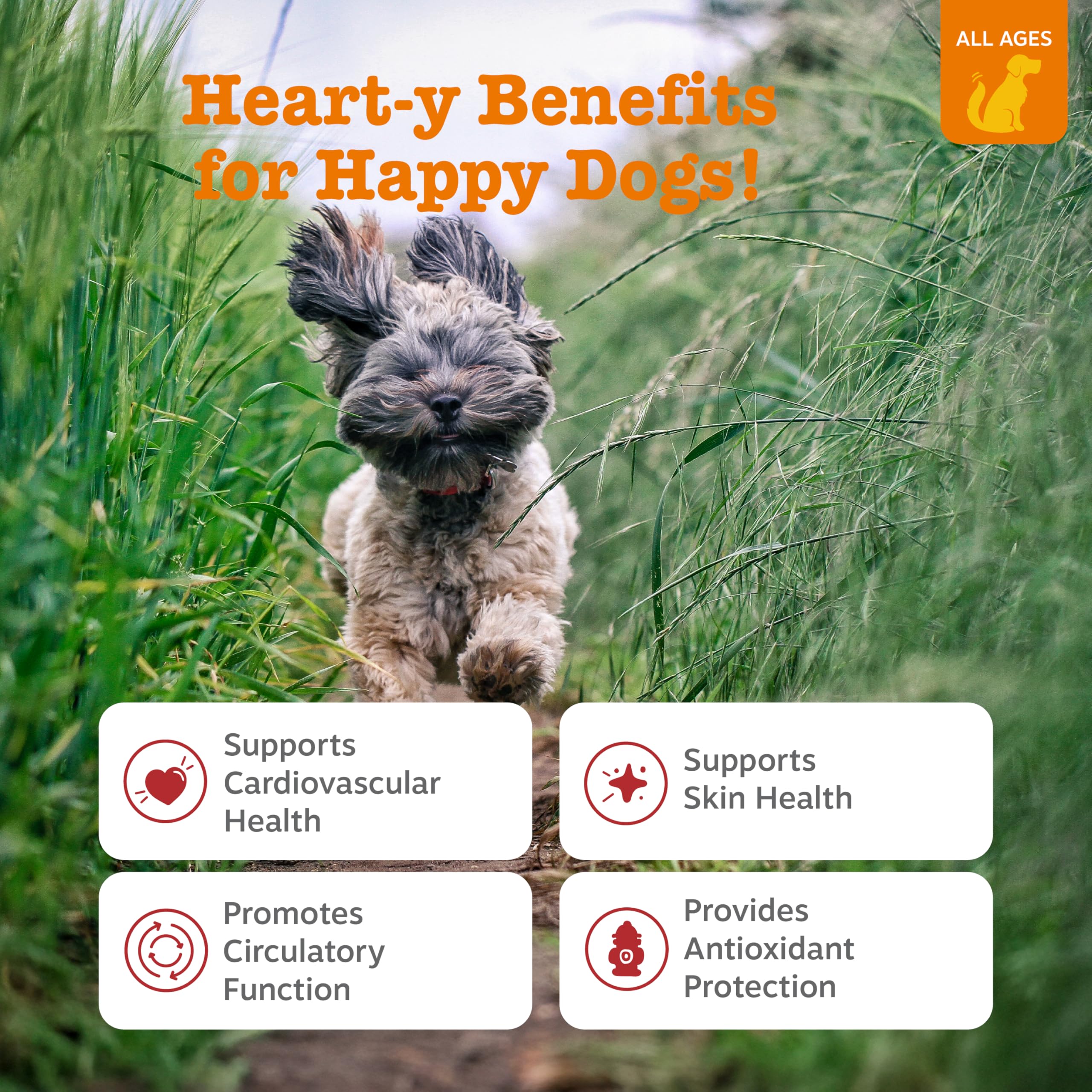 Zesty Paws Taurine and L-Carnitine chews—supports canine circulation.