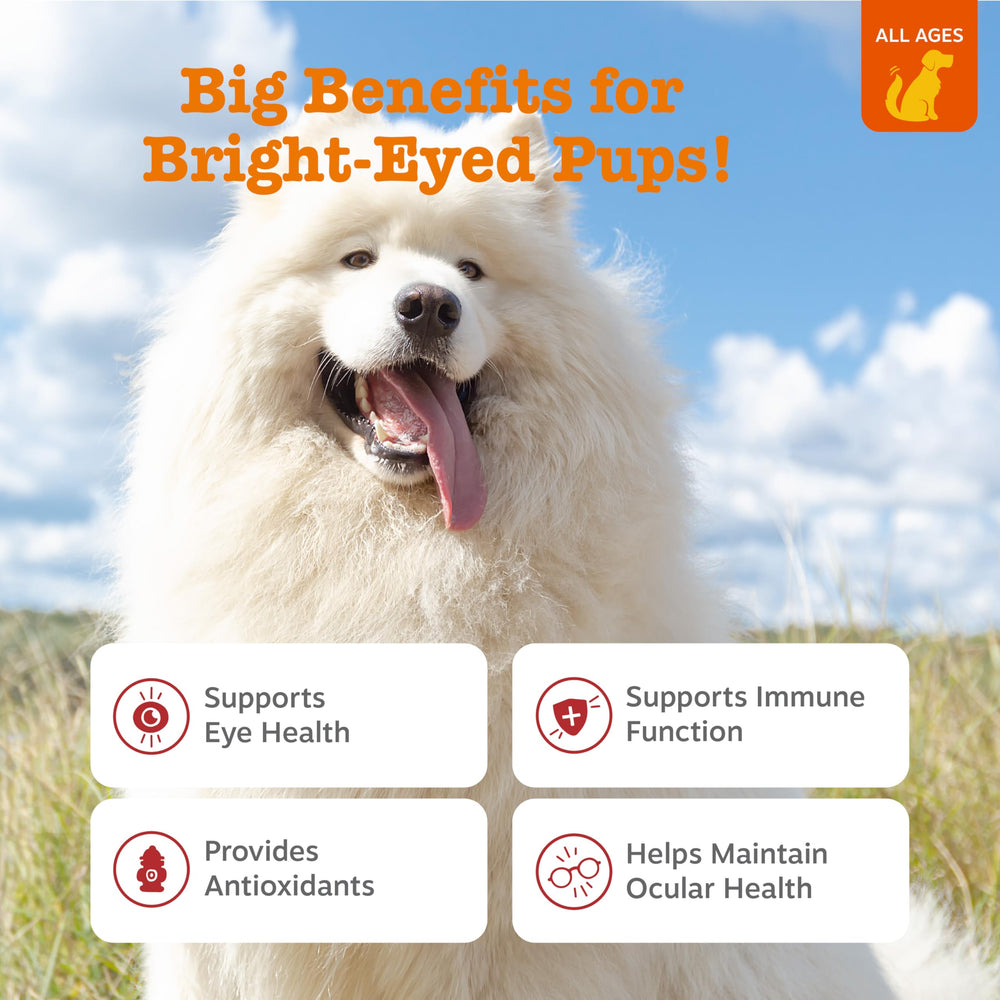 Zesty Paws Tear Stain chews close-up showing tasty bite for daily eye moisture support
