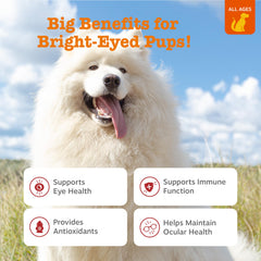 Zesty Paws Tear Stain chews close-up showing tasty bite for daily eye moisture support