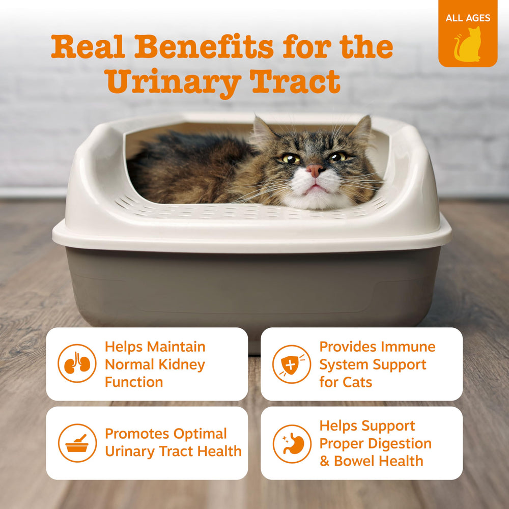 Zesty Paws cat mousse pouch shows creamy texture with chicken flavor for urinary support