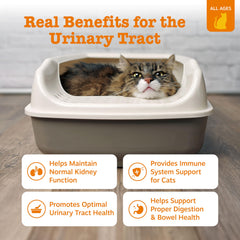 Zesty Paws cat mousse pouch shows creamy texture with chicken flavor for urinary support