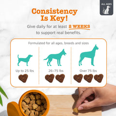 Turkey flavor packaging of Zesty Paws Vet Strength calming chews emphasizes vet-formulated calm.