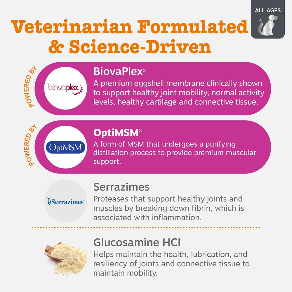 Chondroitin ingredient in Zesty Paws Mobility Bites aids cartilage health