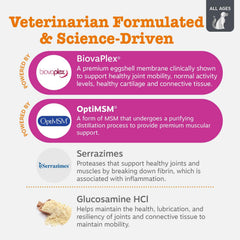 Chondroitin ingredient in Zesty Paws Mobility Bites aids cartilage health