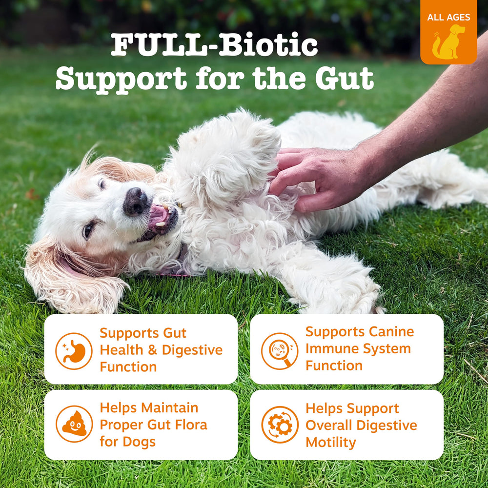 Zesty Paws Vet Strength Probiotics dog chews close-up, showcasing tasty flavor