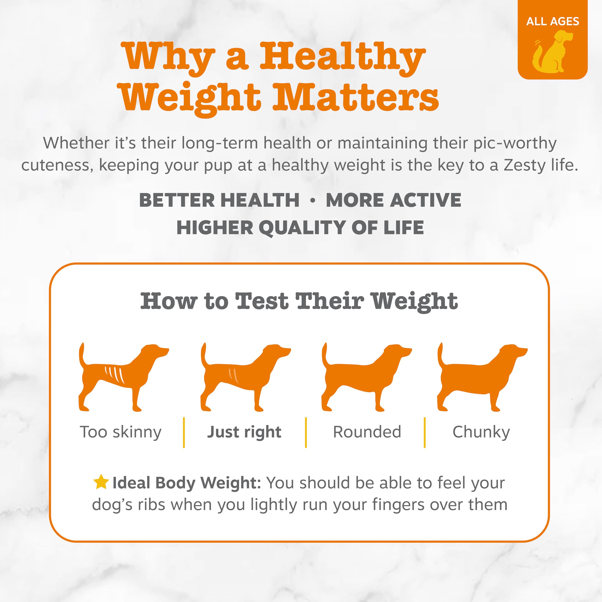 Zesty Paws Weight Management Bites bottle label featuring L-Carnitine and Inulin.