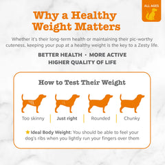 Zesty Paws Weight Management Bites bottle label featuring L-Carnitine and Inulin.