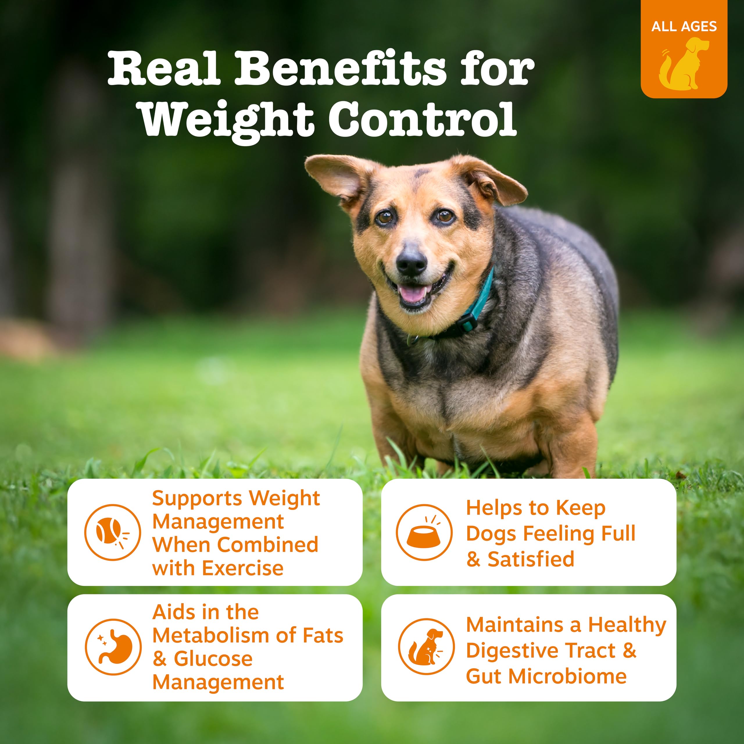 Dog happily eating Zesty Paws Weight Management Bites to support weight goals.