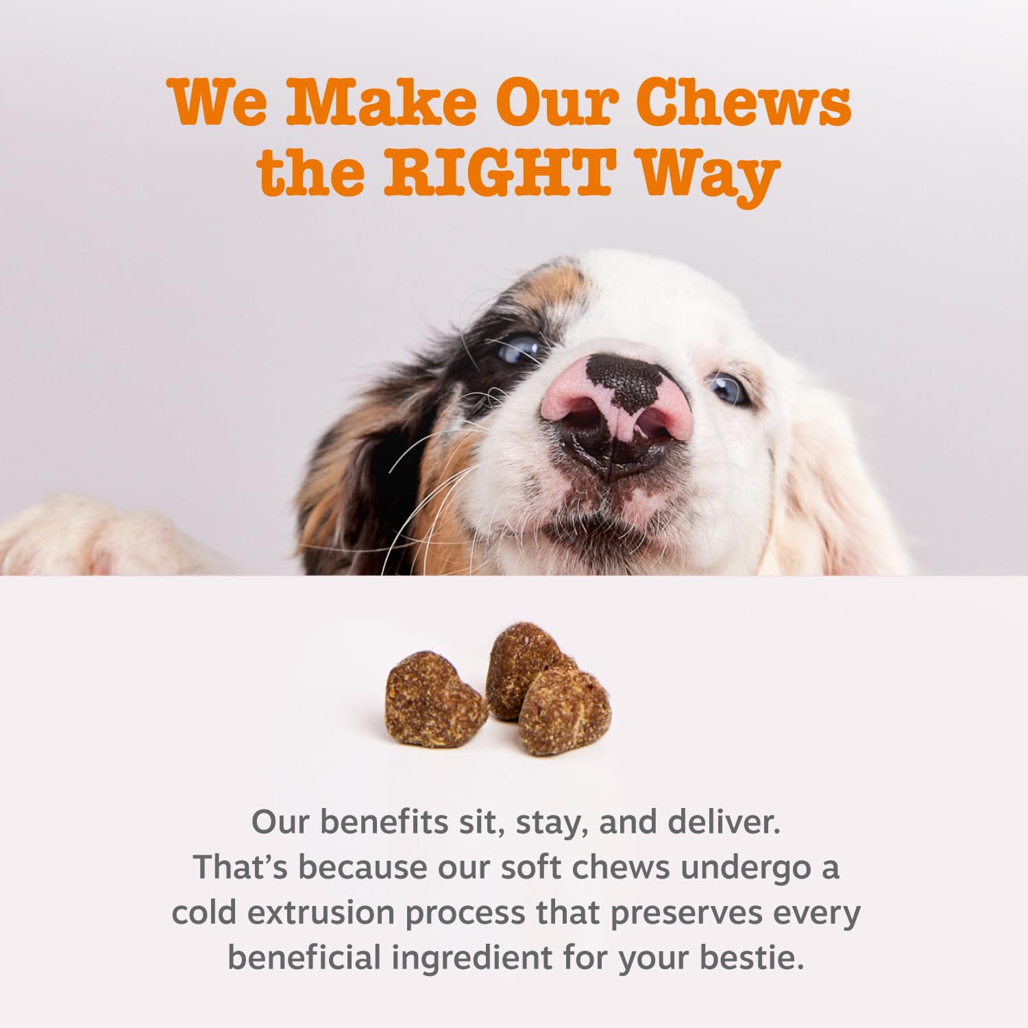 Zesty Paws Weight Management Bites serving suggestion with dry food, easy to incorporate into meals.