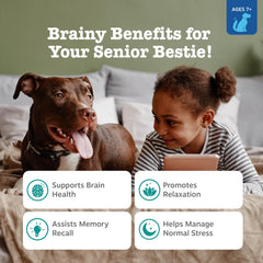 Zesty Paws senior calming cognition soft chews closeup highlights DHA and ashwagandha