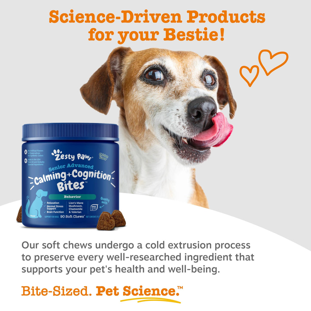 Zesty Paws senior calming cognition soft chews storm scene suggests better composure
