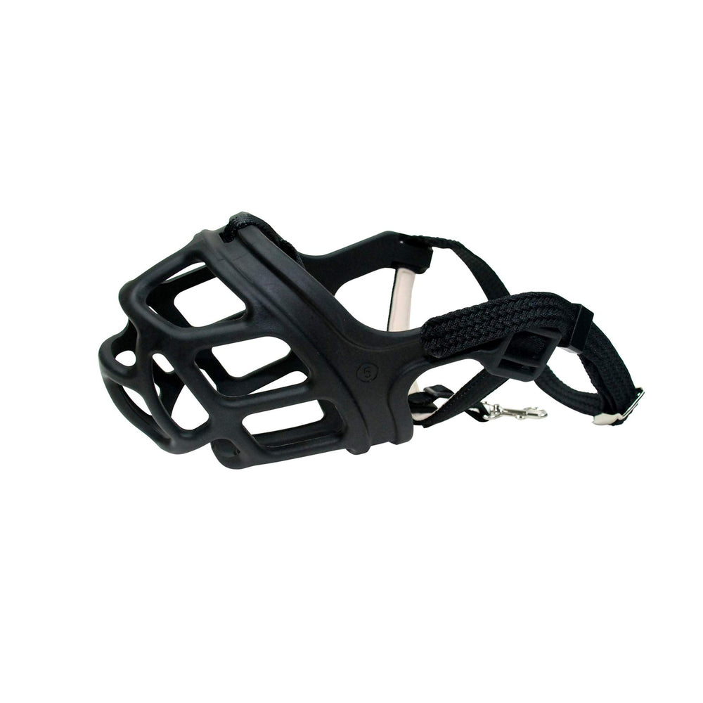 ZEUS Alpha muzzle worn during outings promotes calm, controlled behavior.