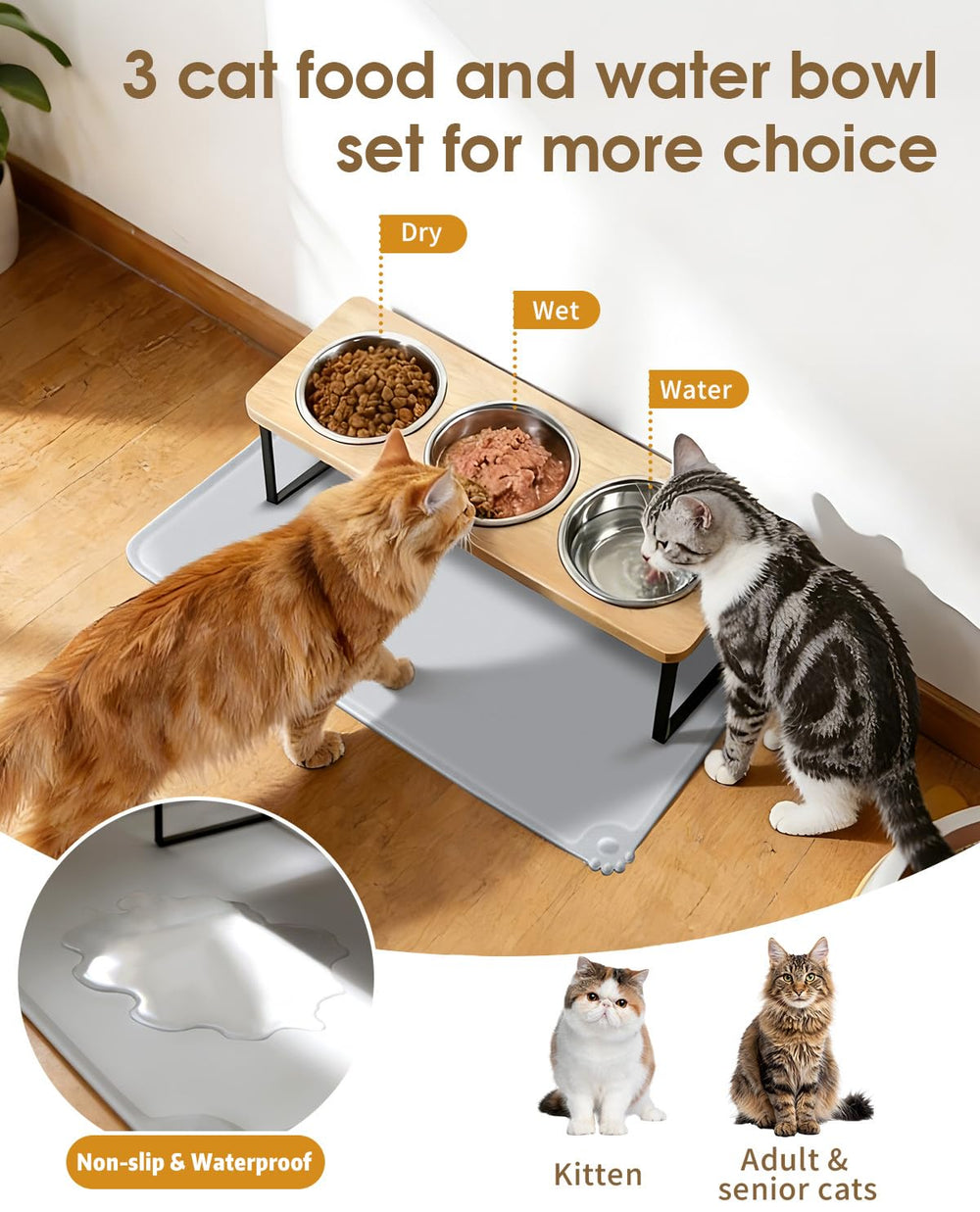 ZFZYyxgs indoor-outdoor feeding setup suitable for home or patio.