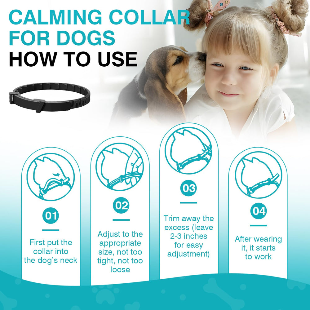 ZHANGK Calming Collar travel-friendly case supports on-the-go anxiety relief.