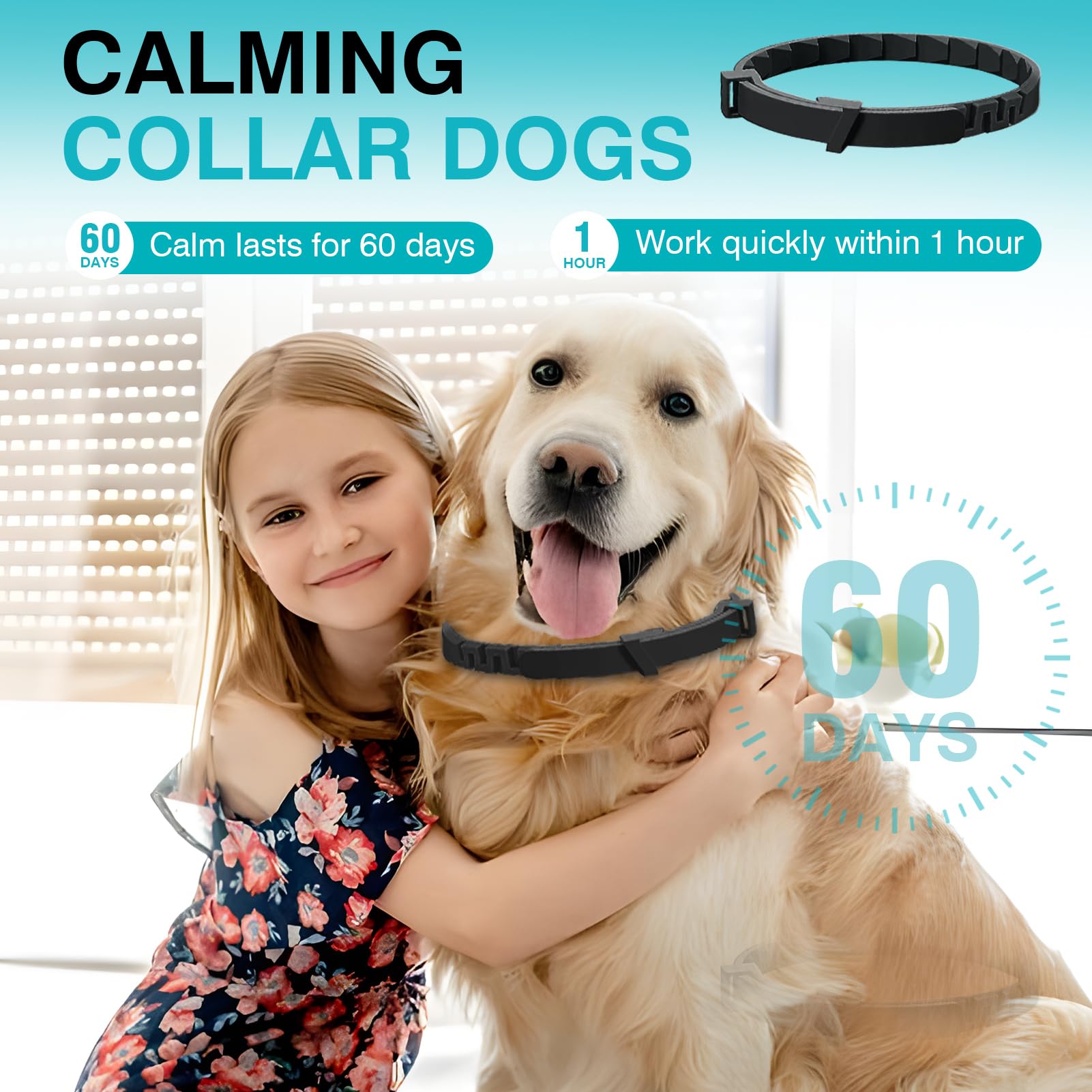 ZHANGK Calming Collar waterproof material closeup highlighting durable daily wear.