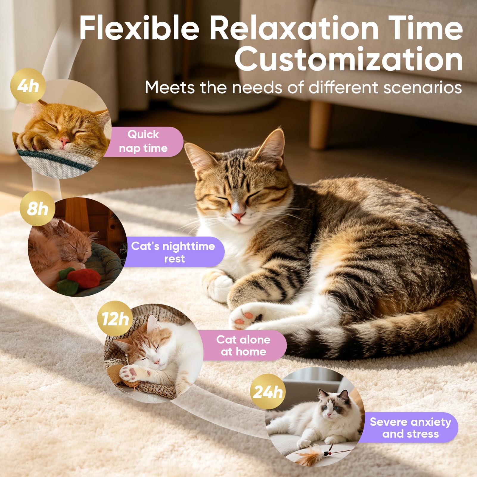 ZHANGK three-pack diffuser in living room promoting cat harmony