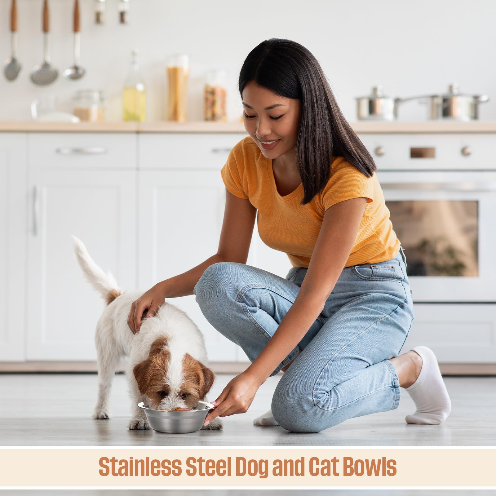 Bowls pair with stands for tidy, organized feeding in homes with multiple pets.