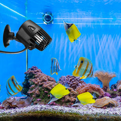 Zhengmy submersible pumps designed for freshwater and saltwater setups