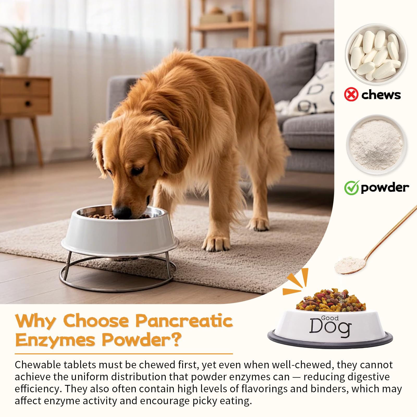 Zhibenon enzyme-dosed meal prepared for a dog’s digestive routine.