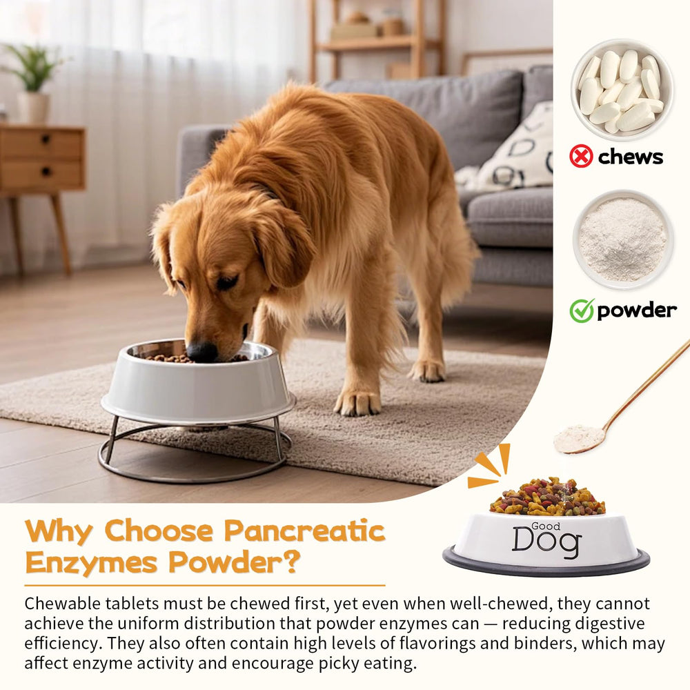 Zhibenon enzyme-dosed meal prepared for a dog’s digestive routine.
