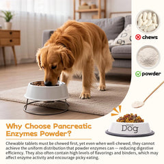Zhibenon enzyme-dosed meal prepared for a dog’s digestive routine.