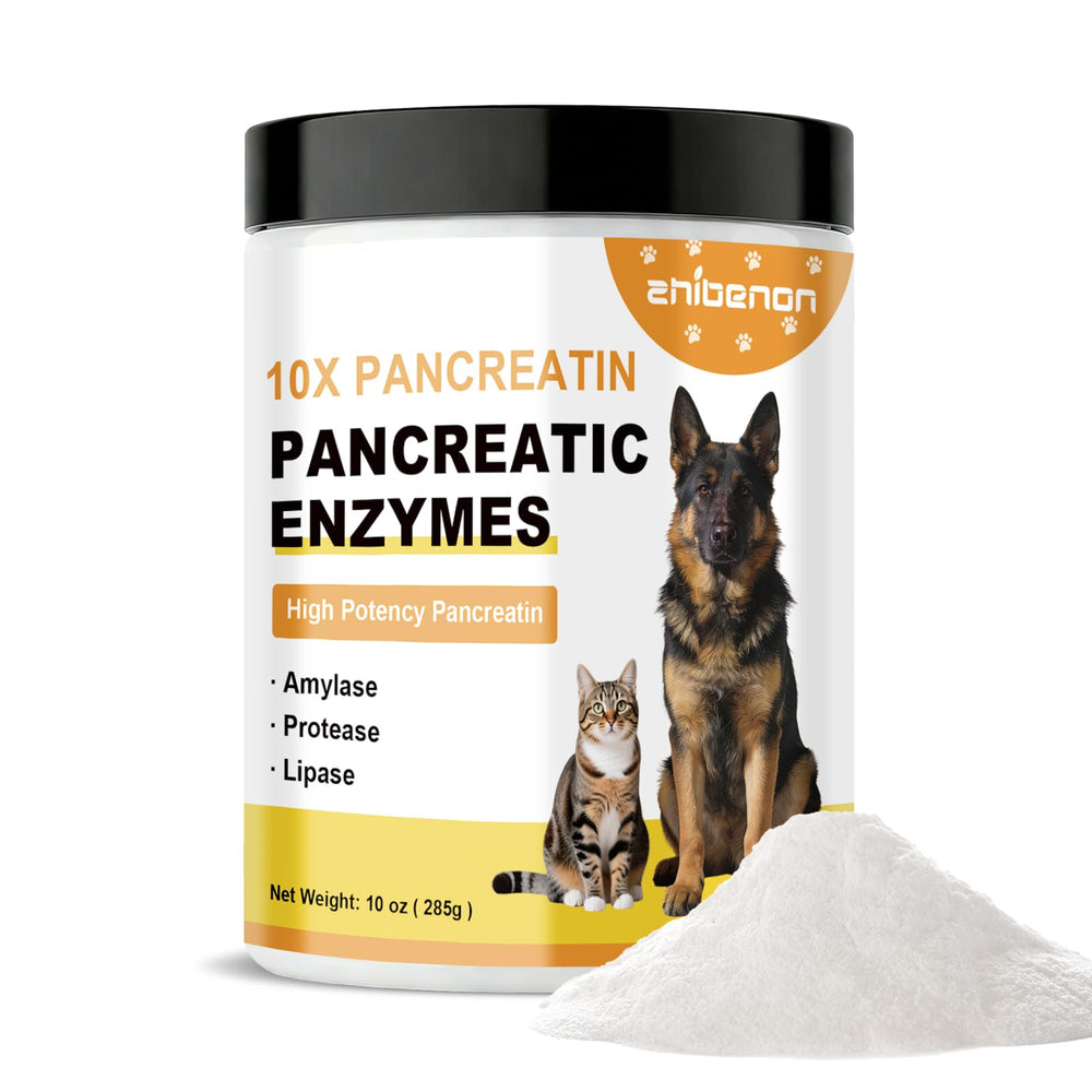 Zhibenon pancreatin powder packaging close-up, showing high potency for absorption.