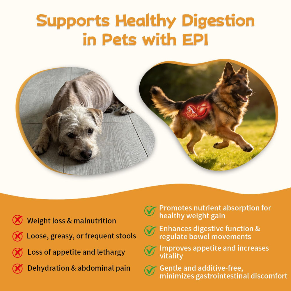 Zhibenon porcine pancreatin ingredients label highlighting purity.