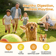 Zhibenon powder being mixed into moistened dog food for easy serving.