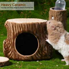 Zhilishu ceramic hamster habitat interior, easy access for daily enrichment.