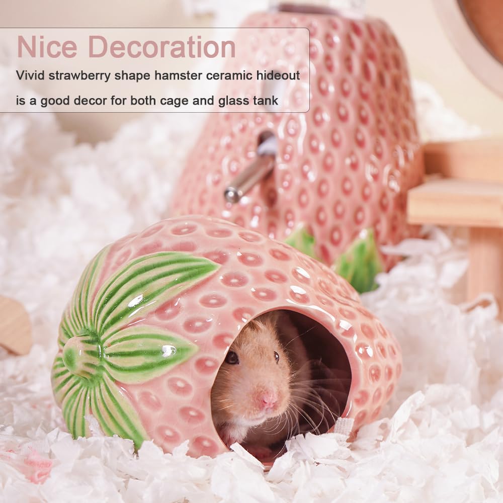 Zhilishu strawberry-design habitat adds playful decor and hiding space.