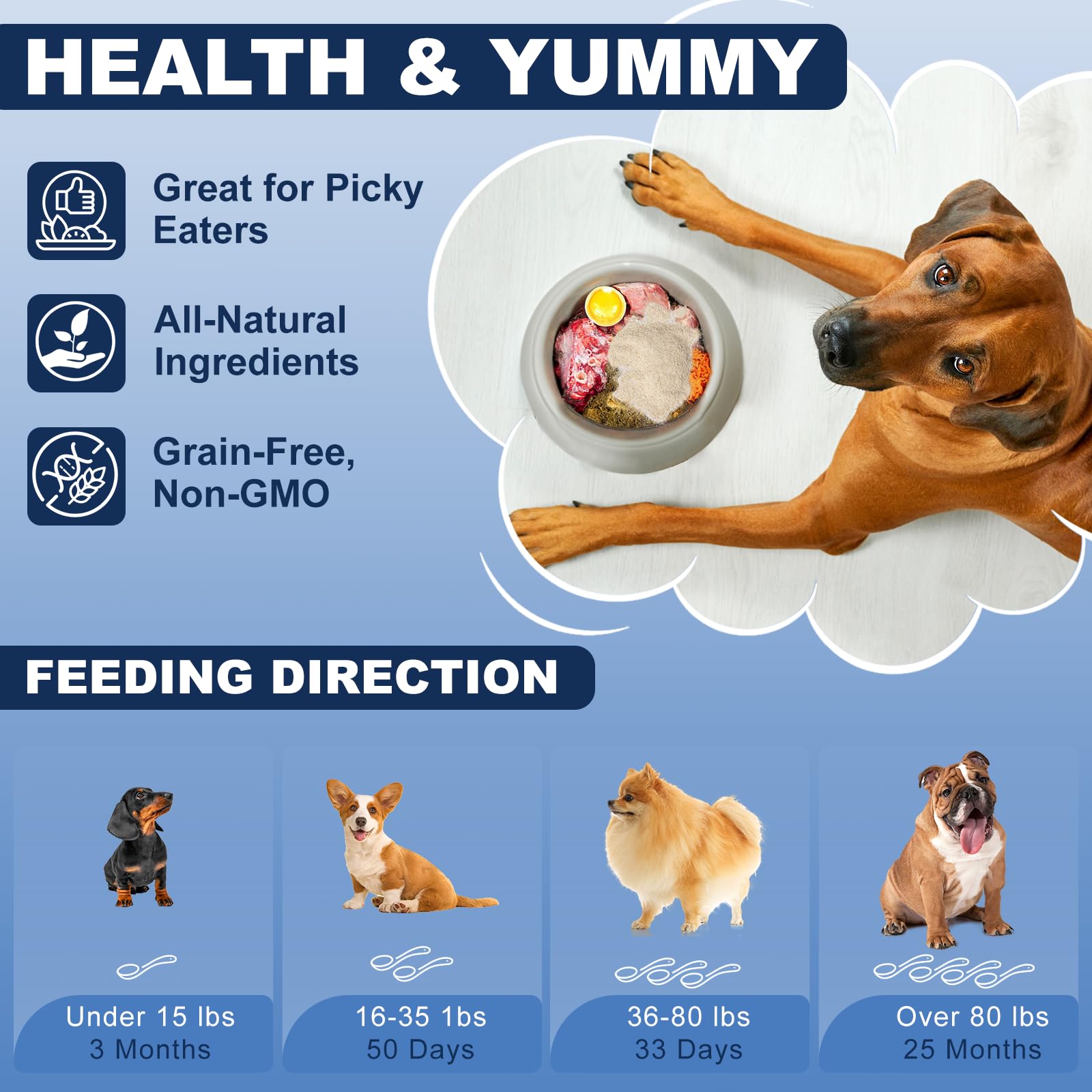 Healthy-looking senior dog after dosage with Zhizaiql back health focus.