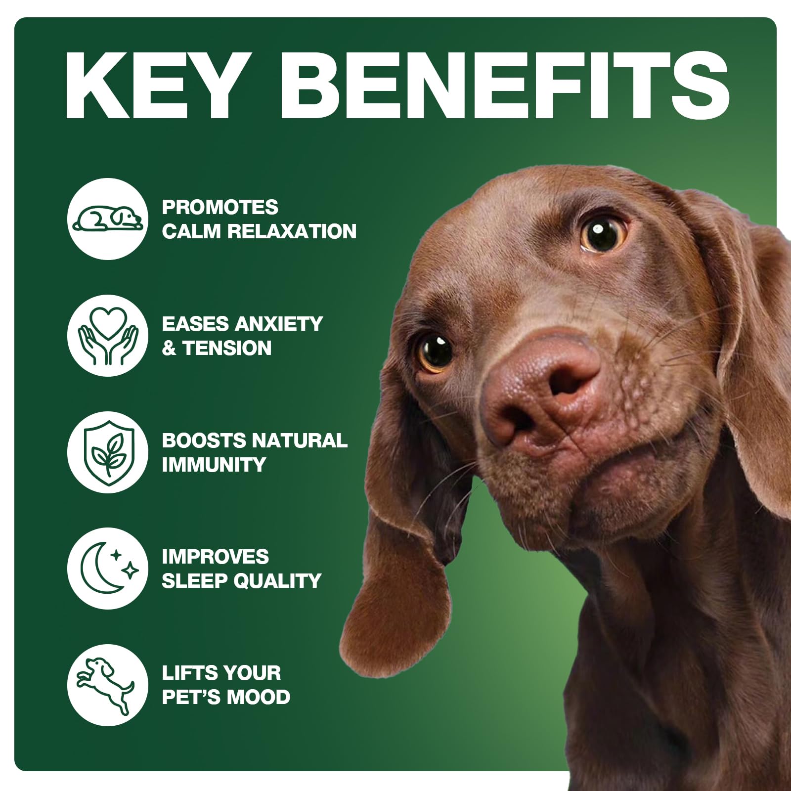 ZiehooGe Calming Chews chicken flavor, tasty treat encouraging daily use.