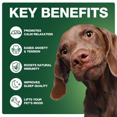 ZiehooGe Calming Chews chicken flavor, tasty treat encouraging daily use.
