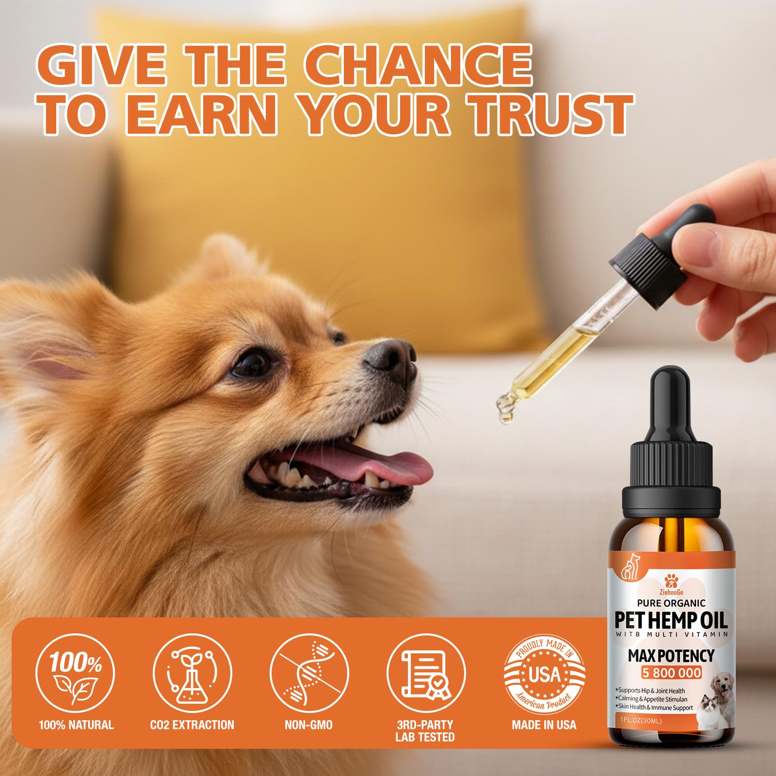 ziehooGe pet relaxation scene with dog and cat enjoying calm vibes