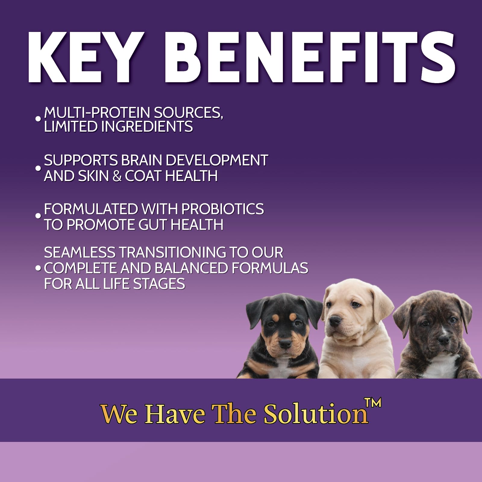 Zignature Puppy Formula kibble closeup highlights texture for palatable bites