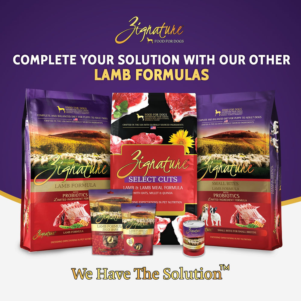 Serving bowl with Zignature lamb meal demonstrates convenient feeding.