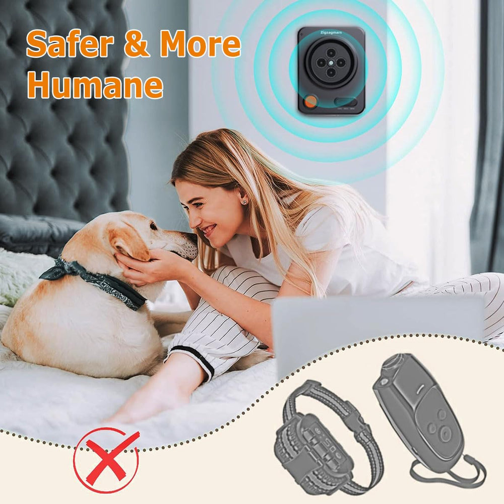 Zigzagmars three-mode frequency selection for different dog needs.