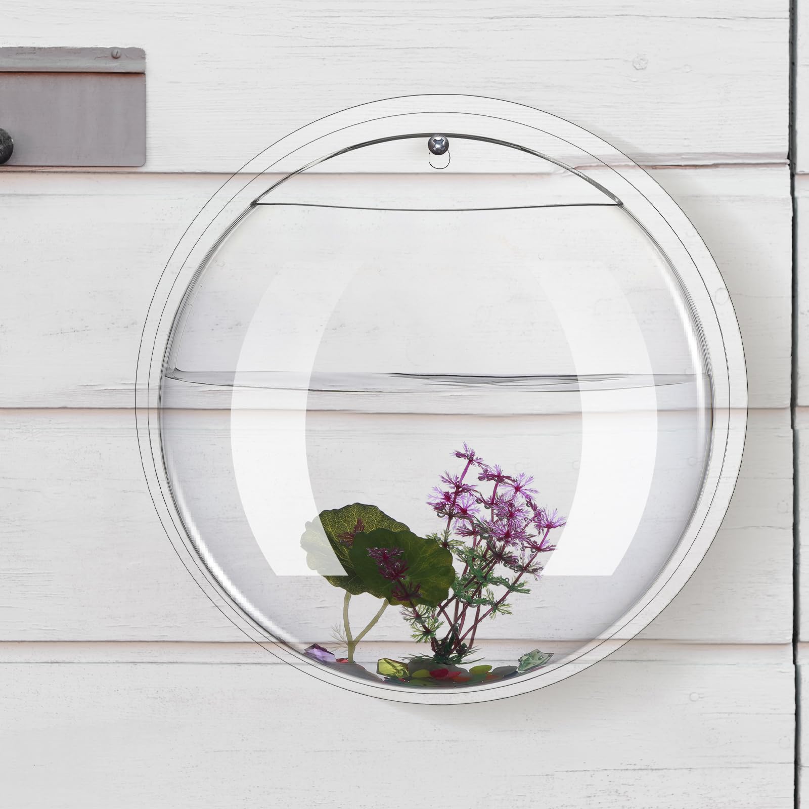 Ziliny clear-view aquarium with light refraction enhances visual appeal.