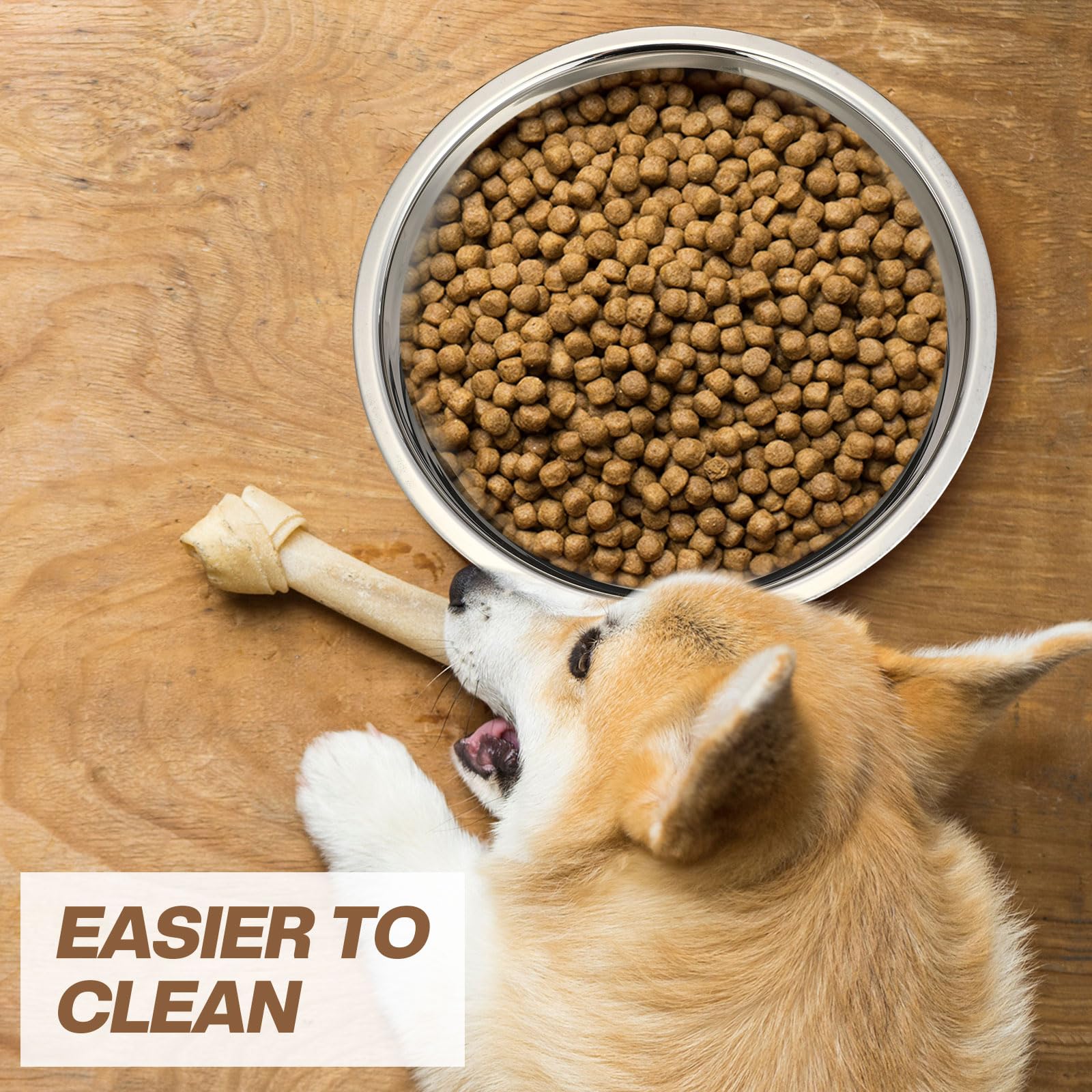 Ziliny multi-use bowls work for water, dry kibble, wet food, or treats.