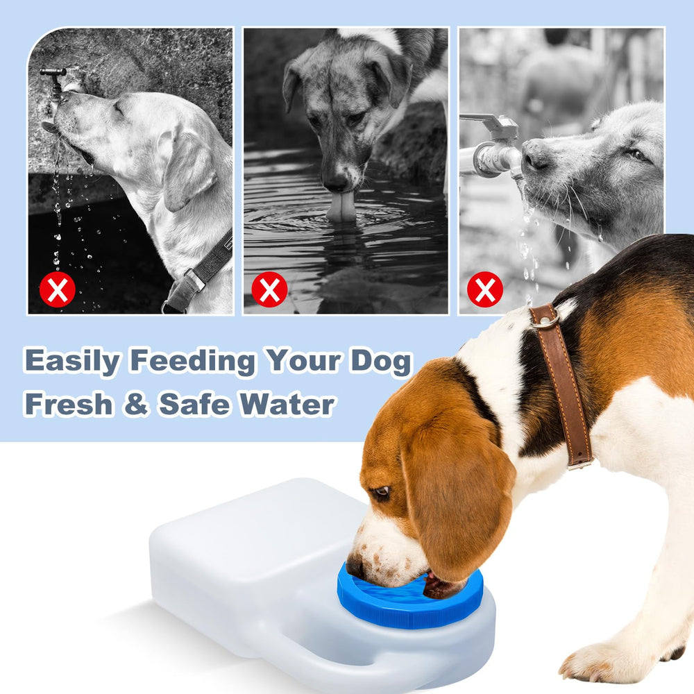 Ziliny travel ready dog water bowl for car RV boat use.